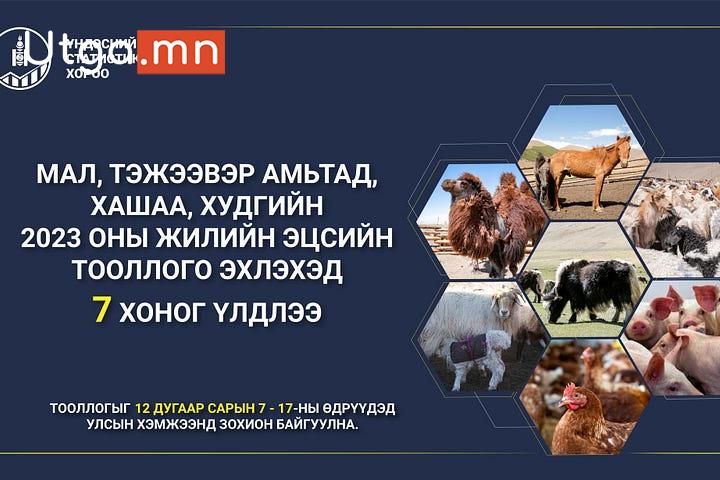 МАЛ, ТЭЖЭЭВЭР АМЬТДЫН 2025 ОНЫ ТООЛЛОГО ЭНЭ САРЫН 7-НЫ НЯМ ГАРАГТ ЭХЛЭХ ГЭЖ БАЙНА.