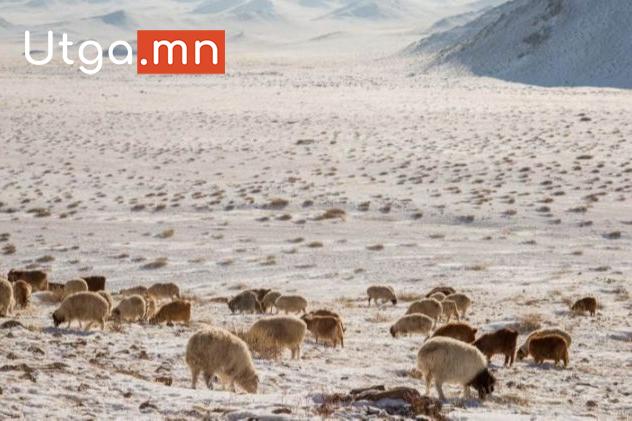 ЭНЭ САРЫН ЗУДЫН ЭРСДЭЛИЙН УРЬДЧИЛСАН ТӨЛӨВИЙГ ТАНИЛЦУУЛЛАА