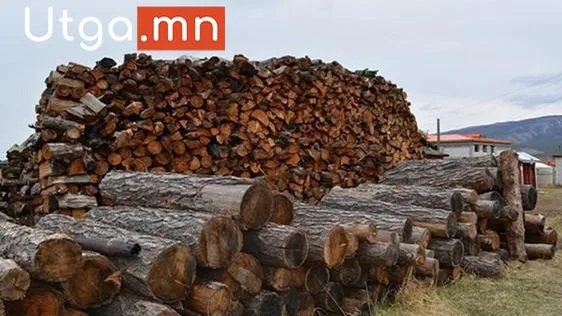 Ирэх сарын 25-наас зорилтот өрхүүдэд 350 мянган төгрөгөөр түлээний мод худалдана