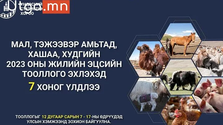МАЛ, ТЭЖЭЭВЭР АМЬТДЫН 2025 ОНЫ ТООЛЛОГО ЭНЭ САРЫН 7-НЫ НЯМ ГАРАГТ ЭХЛЭХ ГЭЖ БАЙНА.
