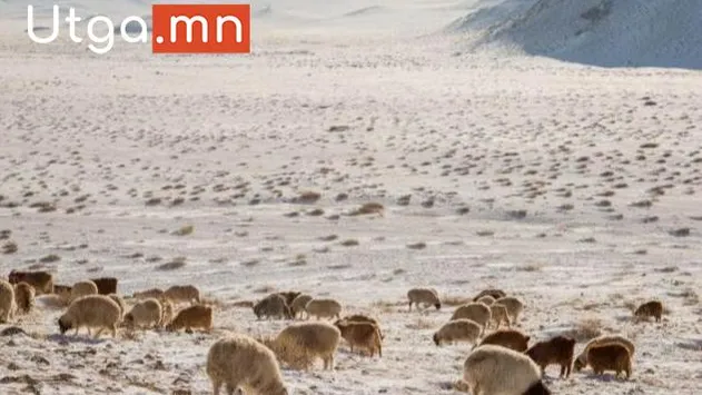 ЭНЭ САРЫН ЗУДЫН ЭРСДЭЛИЙН УРЬДЧИЛСАН ТӨЛӨВИЙГ ТАНИЛЦУУЛЛАА