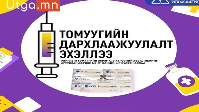 Томуугийн дархлаажуулалтыг ӨЭМТ-үүдээр хийж байна