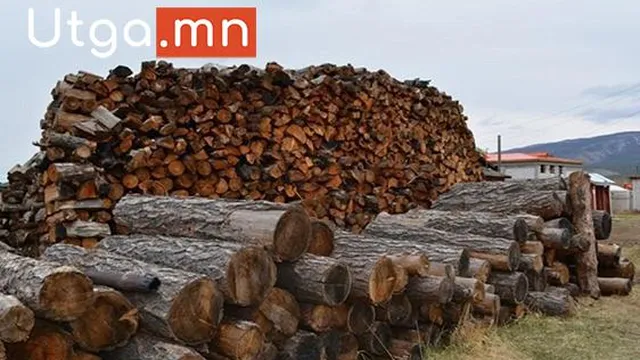Ирэх сарын 25-наас зорилтот өрхүүдэд 350 мянган төгрөгөөр түлээний мод худалдана