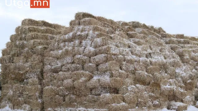 ОРХОН АЙМАГ АЮУЛГҮЙН НӨӨЦӨД БЭЛТГЭСЭН ӨВС ТЭЖЭЭЛИЙГ ҮНЭ ТӨЛБӨРГҮЙ ОЛГОЖ ЭХЭЛЛЭЭ