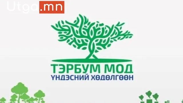 "ЭРДЭНЭТ ҮЙЛДВЭР" ТӨҮГ-ЫН ГАЗАР “ТЭРБУМ МОД ҮНДЭСНИЙ ХӨДӨЛГӨӨН ЭХЛЭСНЭЭС ХОЙШ 3,4 САЯ МОД ТАРЬЖЭЭ