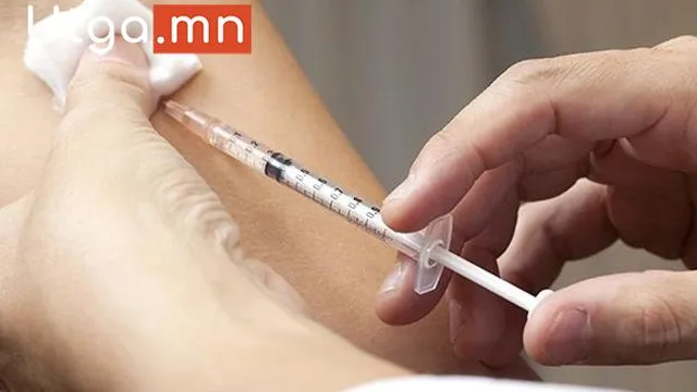 ХҮНИЙ ПАПИЛЛОМА ВИРУСИЙН ЭСРЭГ ДАРХЛААЖУУЛАЛТ ОРОН ДАЯАР ЭХЭЛЛЭЭ