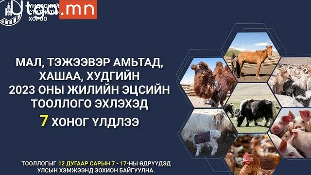 МАЛ, ТЭЖЭЭВЭР АМЬТДЫН 2025 ОНЫ ТООЛЛОГО ЭНЭ САРЫН 7-НЫ НЯМ ГАРАГТ ЭХЛЭХ ГЭЖ БАЙНА.