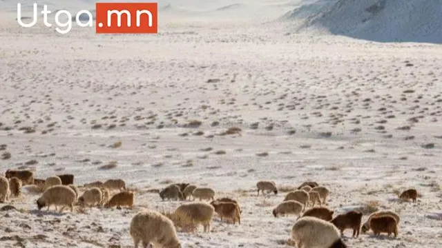 ЭНЭ САРЫН ЗУДЫН ЭРСДЭЛИЙН УРЬДЧИЛСАН ТӨЛӨВИЙГ ТАНИЛЦУУЛЛАА
