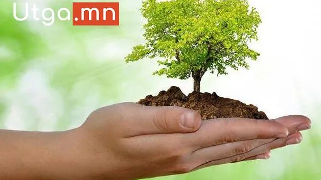 “АЧИТ ИХТ” ХХК ӨРХ БҮРТ ГУРАВ ХҮРТЭЛХ МОД ҮНЭ ТӨЛБӨРГҮЙ ОЛГОНО